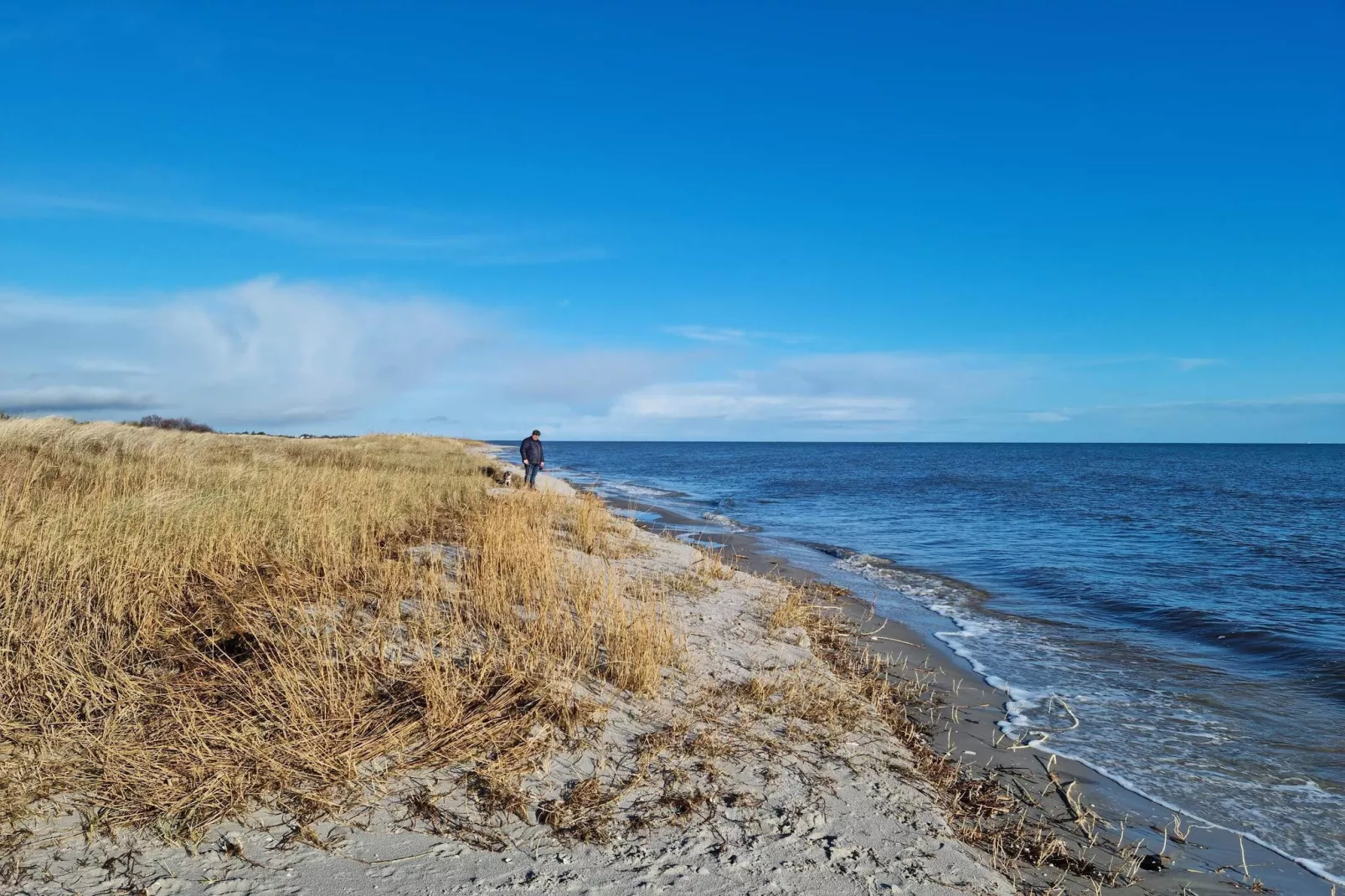 Rustig toevluchtsoord nabij strand -- By Traum Ferienwohnungen-Waterzicht