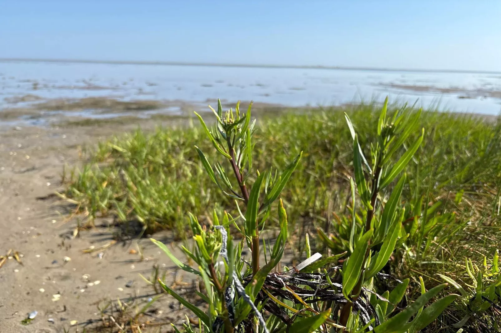 8 persoons vakantie huis in Ørsted-By Traum-Waterzicht