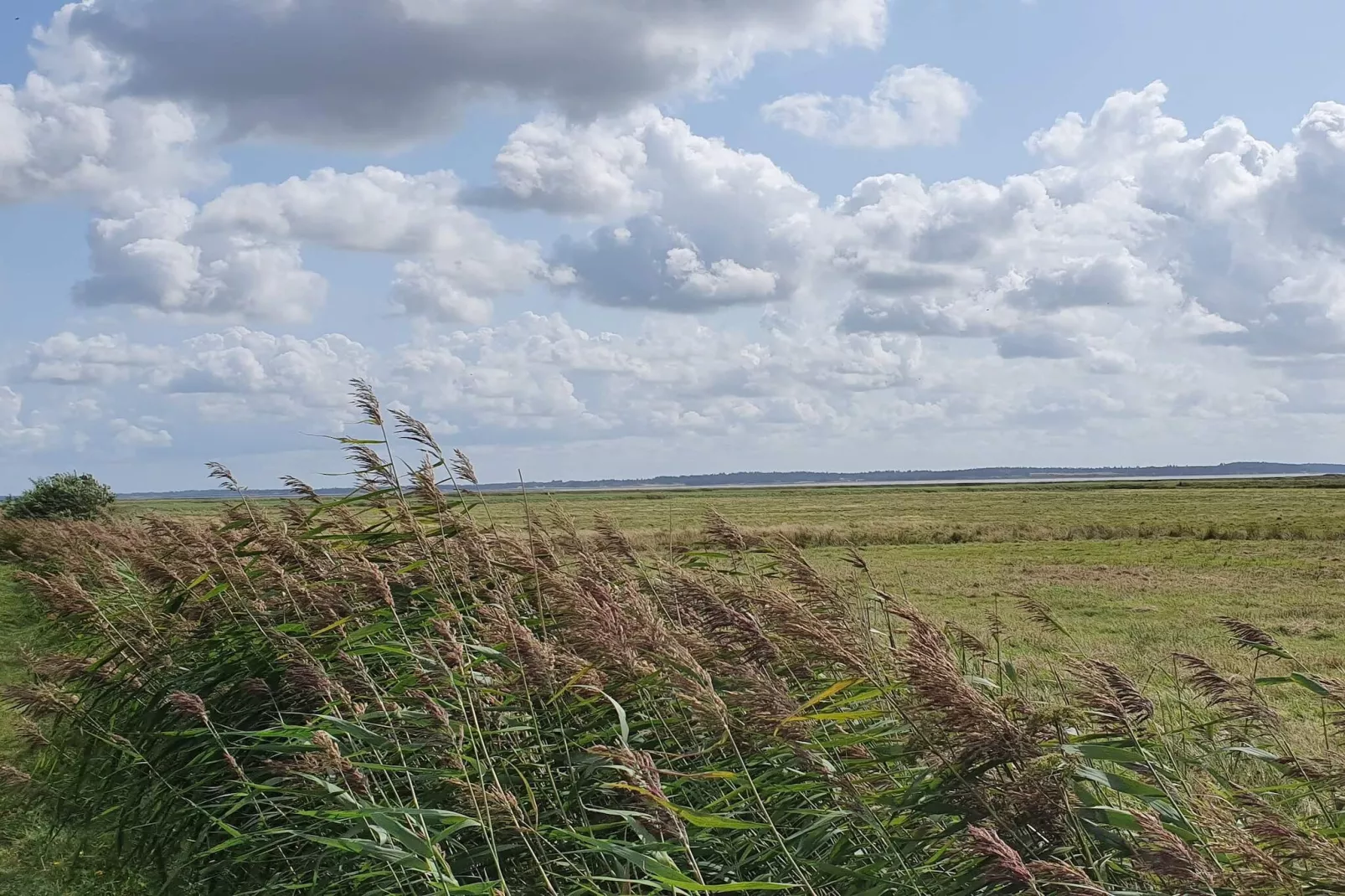 4 persoons vakantie huis in Oksbøl-By Traum-Niet-getagd