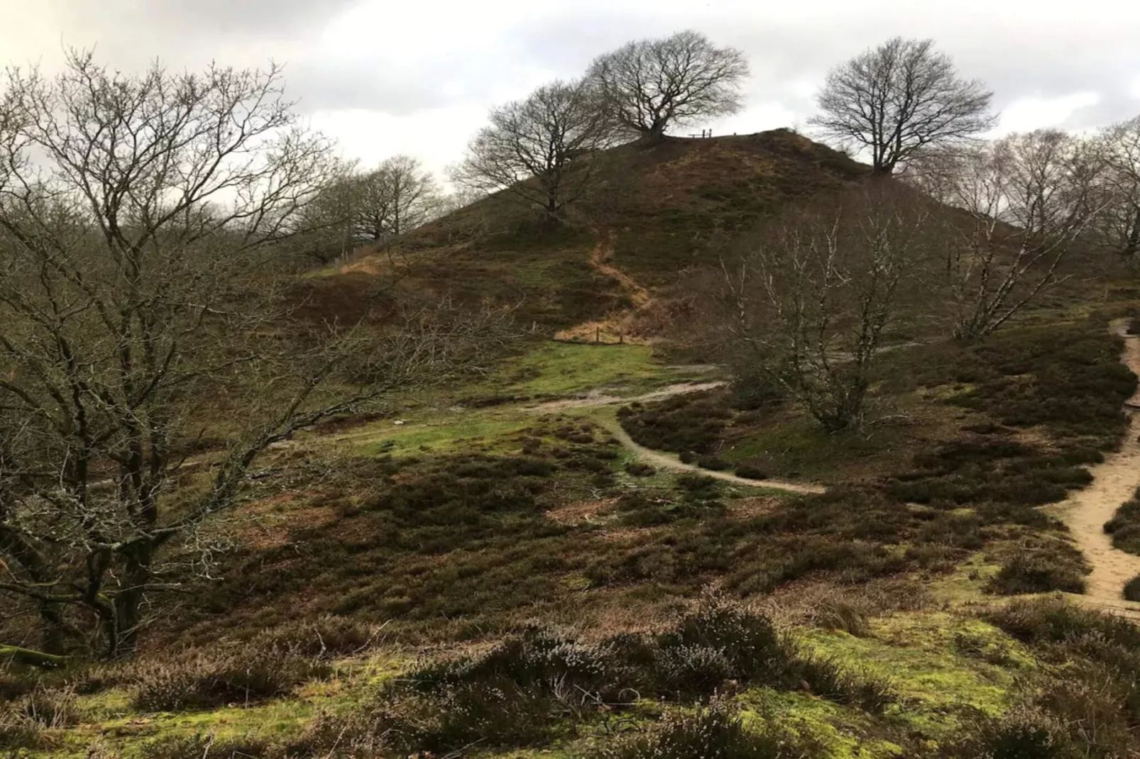 8 persoons vakantie huis in Gjern-By Traum-Niet-getagd