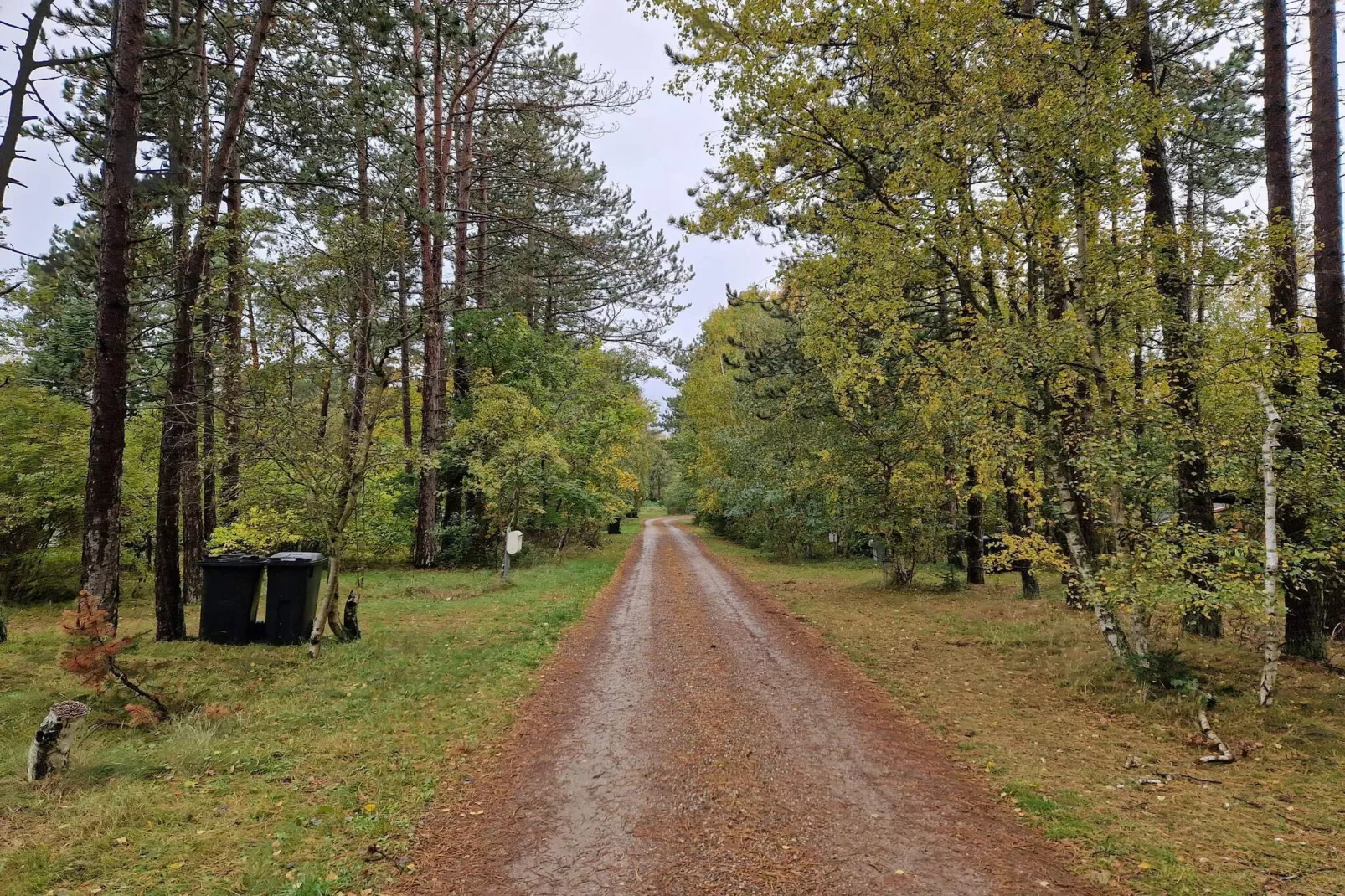 6 persoons vakantie huis in Store Fuglede-By Traum-Niet-getagd