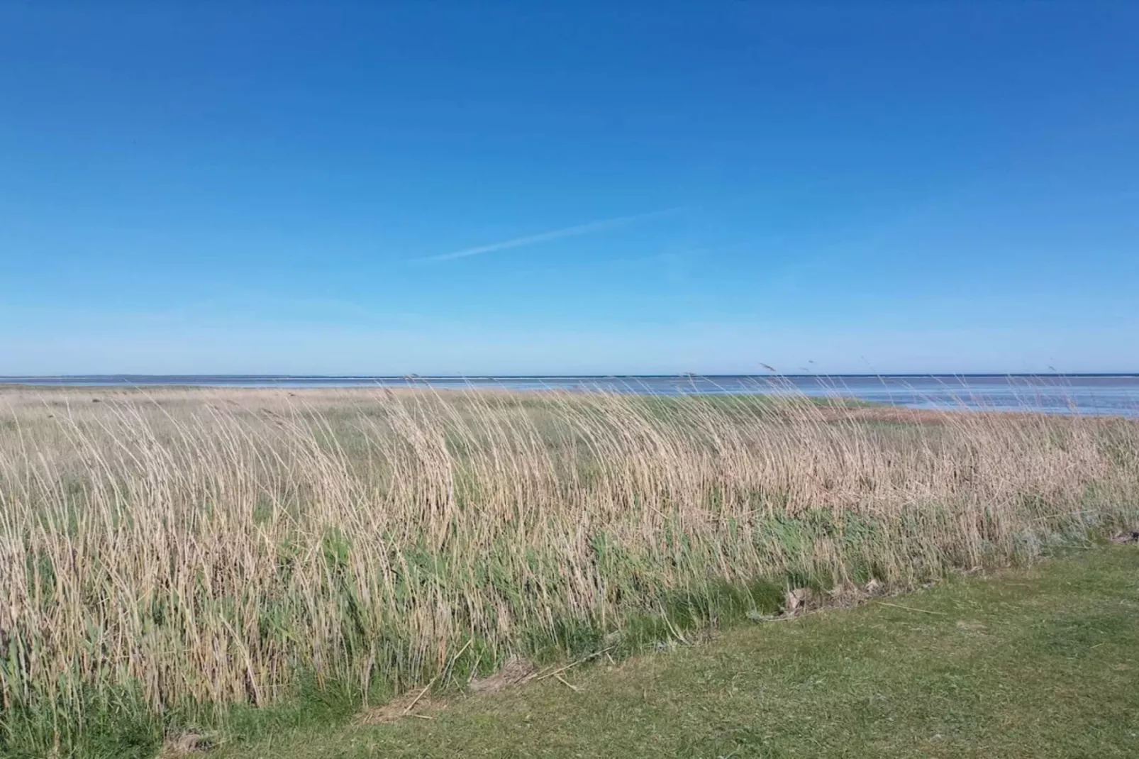 11 persoons vakantie huis in Ørsted-By Traum-Waterzicht