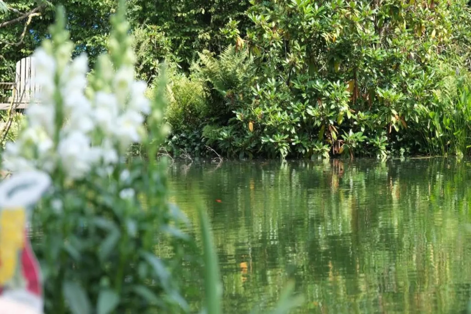 Bospark Markelo 3-Gebieden zomer 20km