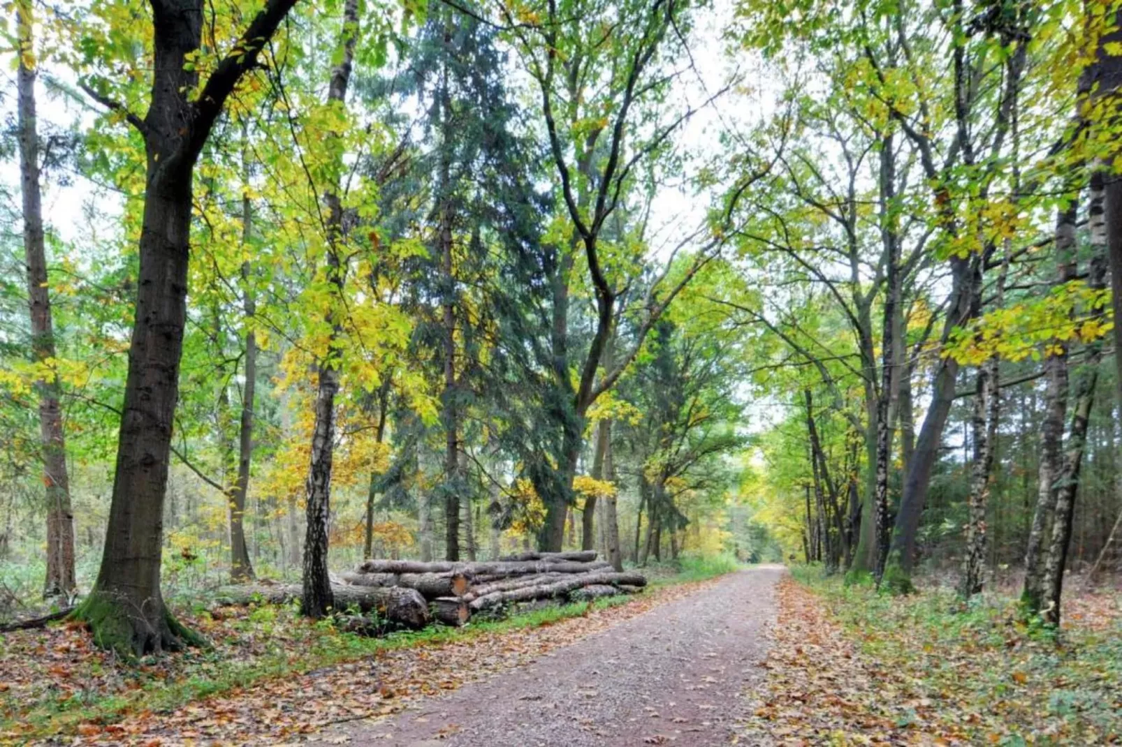 Bospark Markelo 4-Gebieden zomer 20km