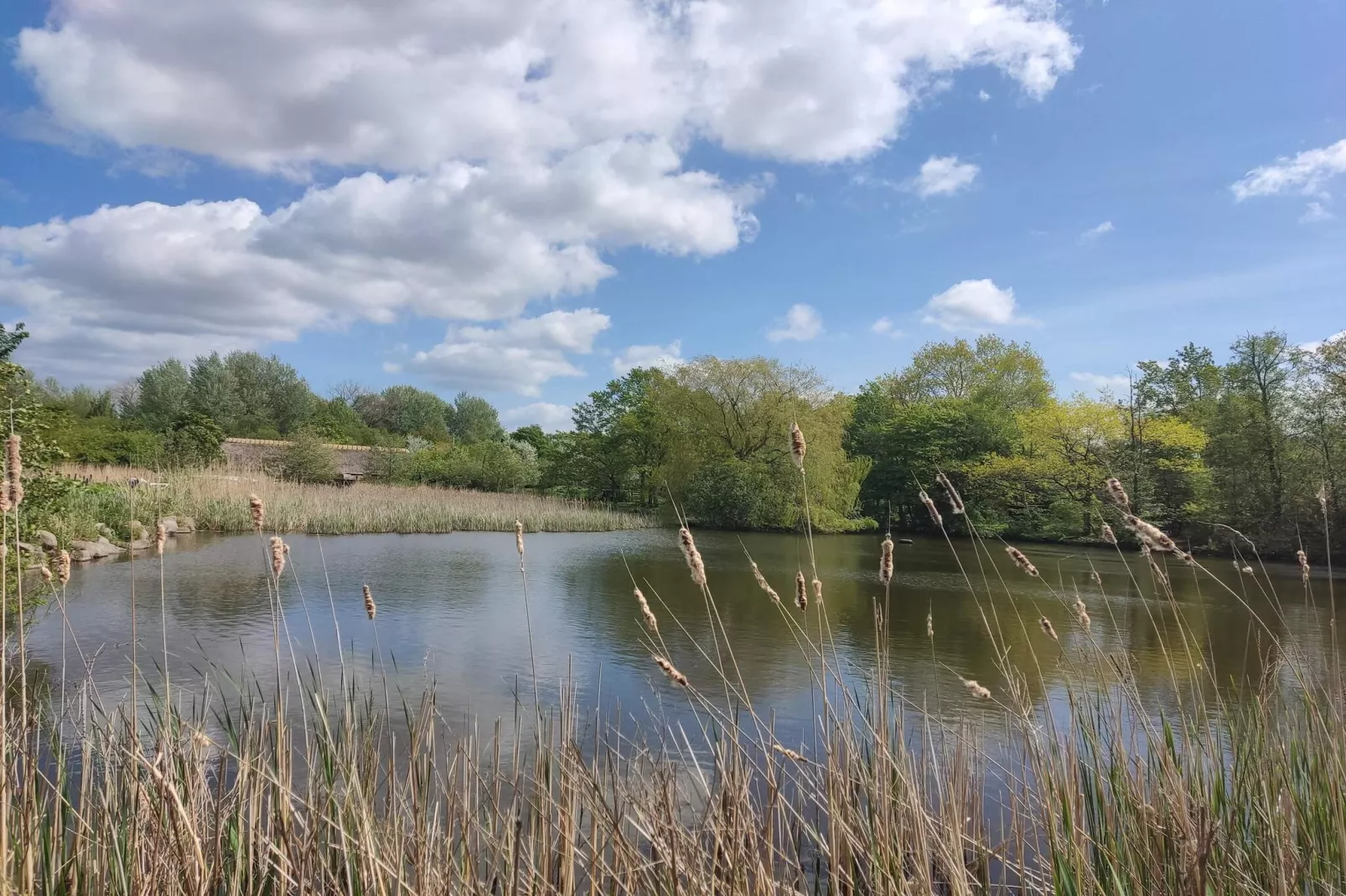 6 persoons vakantie huis in Væggerløse-By Traum-Waterzicht