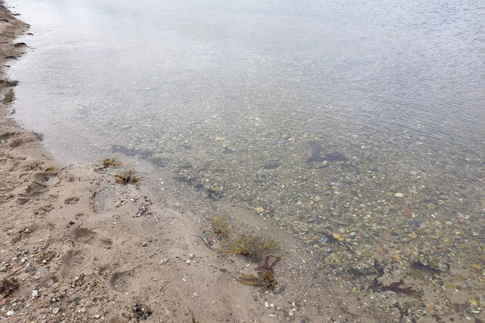 4 persoons vakantie huis in Aabenraa-By Traum-Waterzicht