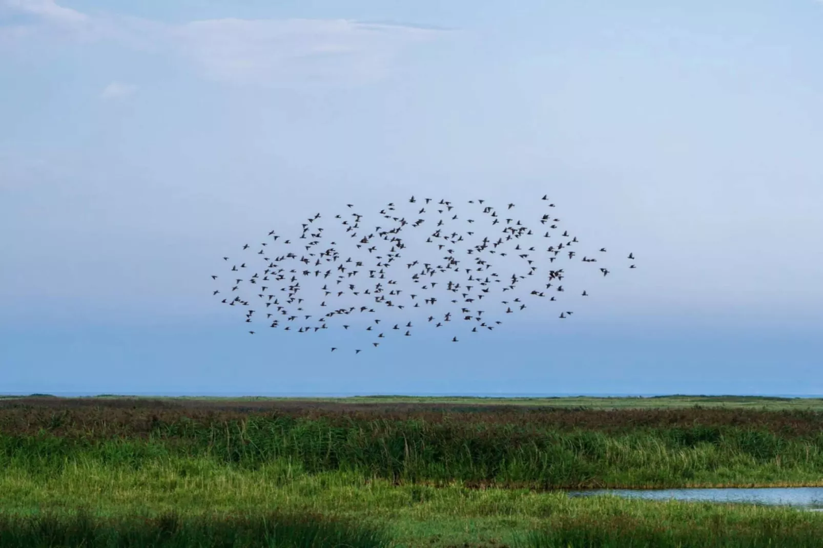 12 persoons vakantie huis in Vinderup-By Traum-Waterzicht