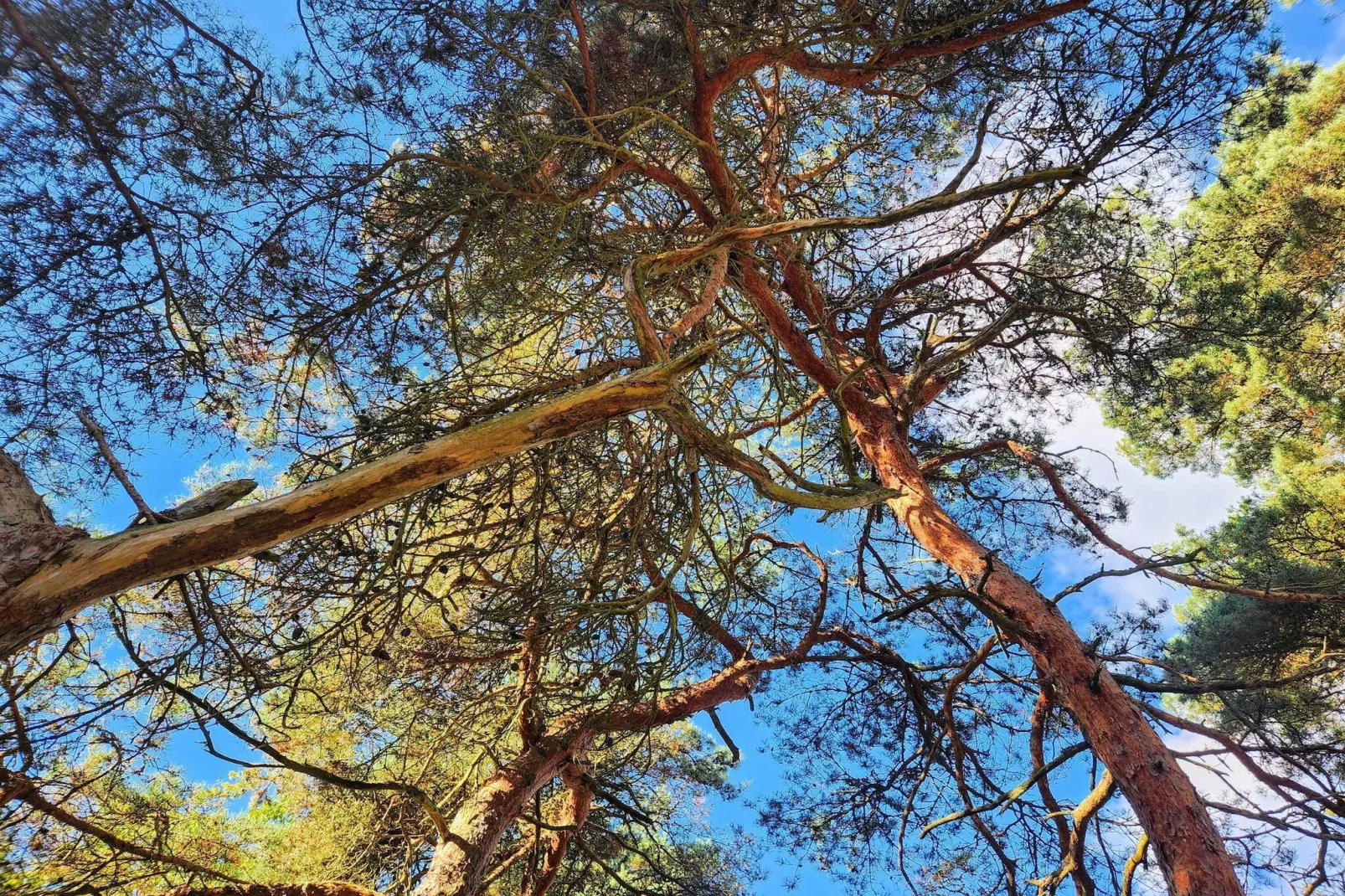 5 persoons vakantie huis in HALTORP-By Traum-Niet-getagd