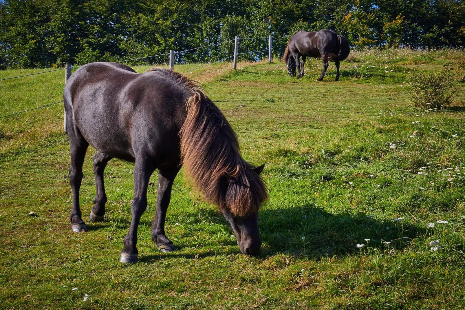 6 persoons vakantie huis in Aabenraa-By Traum-Niet-getagd