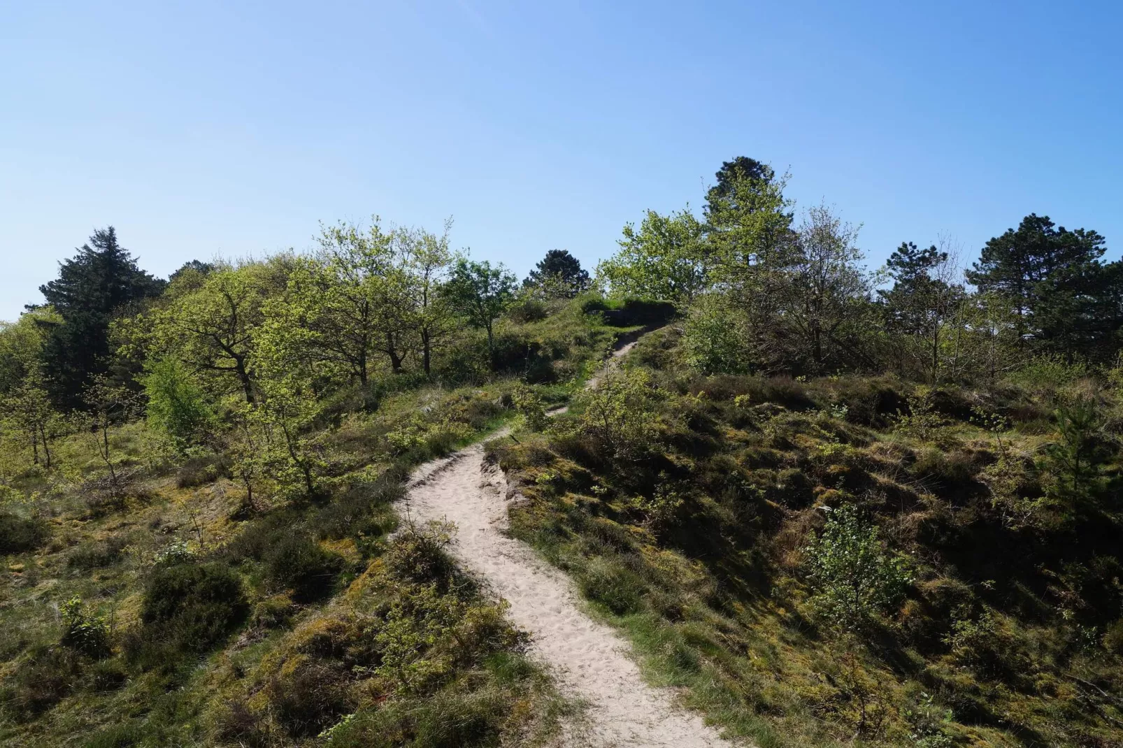 Luxe retraite met zwembad -- By Traum Ferienwohnungen-Buitenlucht