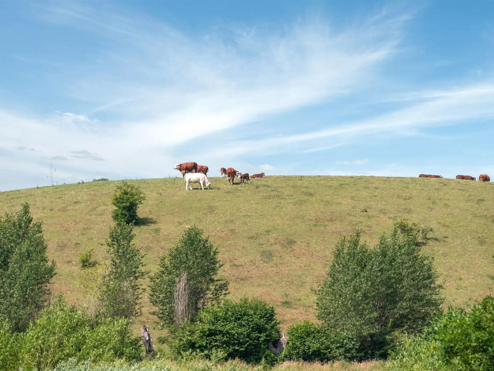 "Raija" - 400m from the sea-Buiten