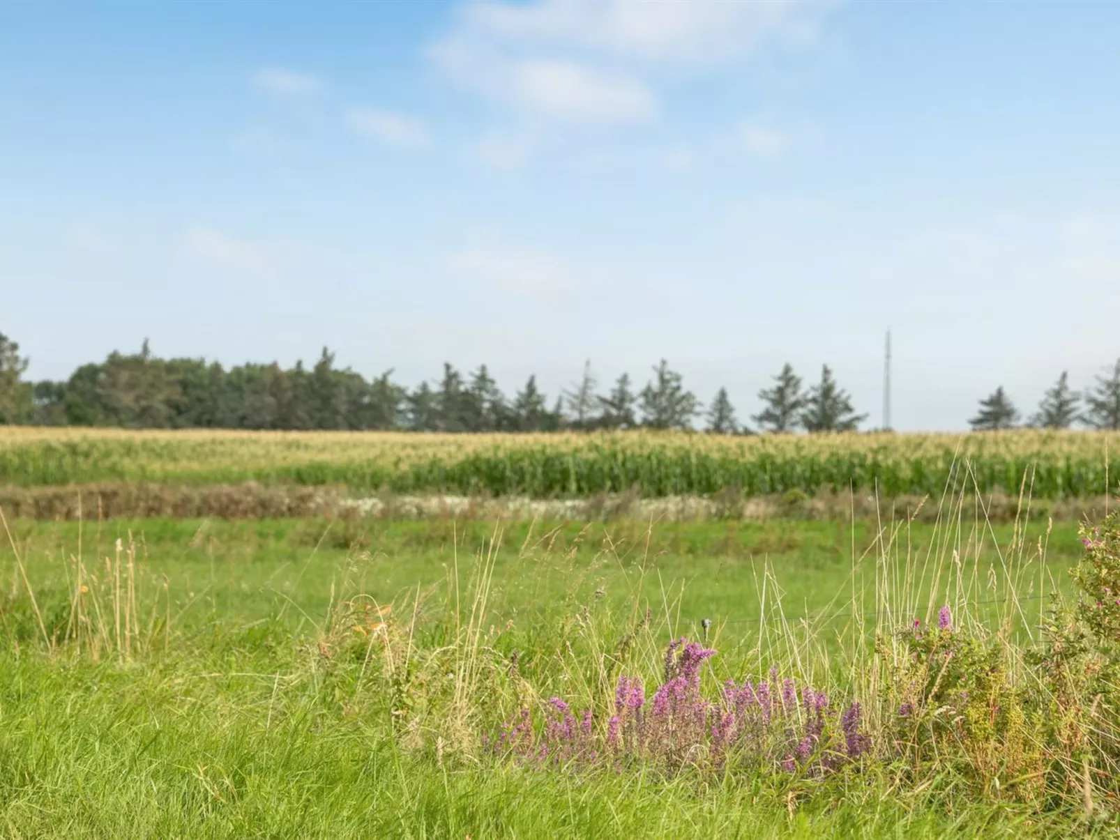 "Ewelina" - 15km from the sea-Buiten