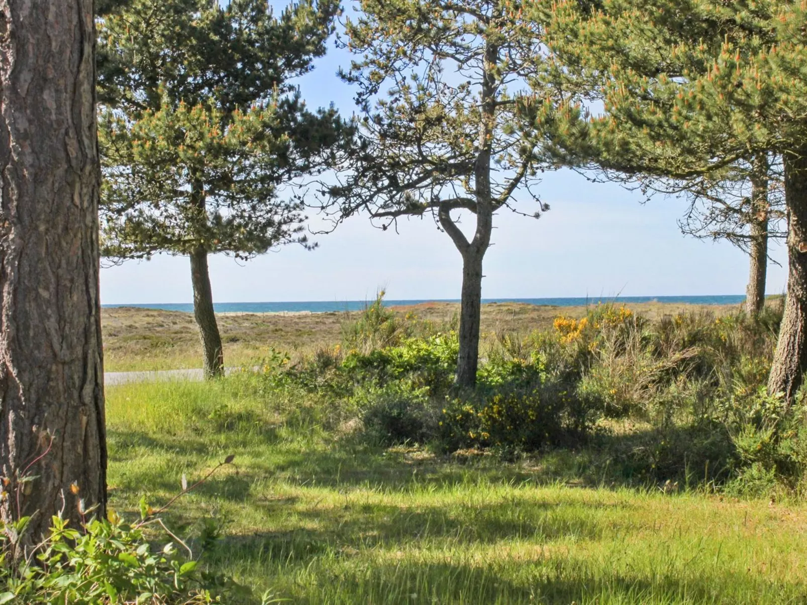 "Hatem" - 200m from the sea-Buiten