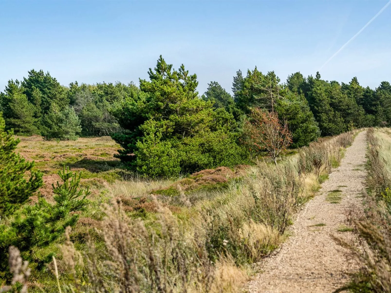 "Gabriela" - 1km from the sea-Buiten