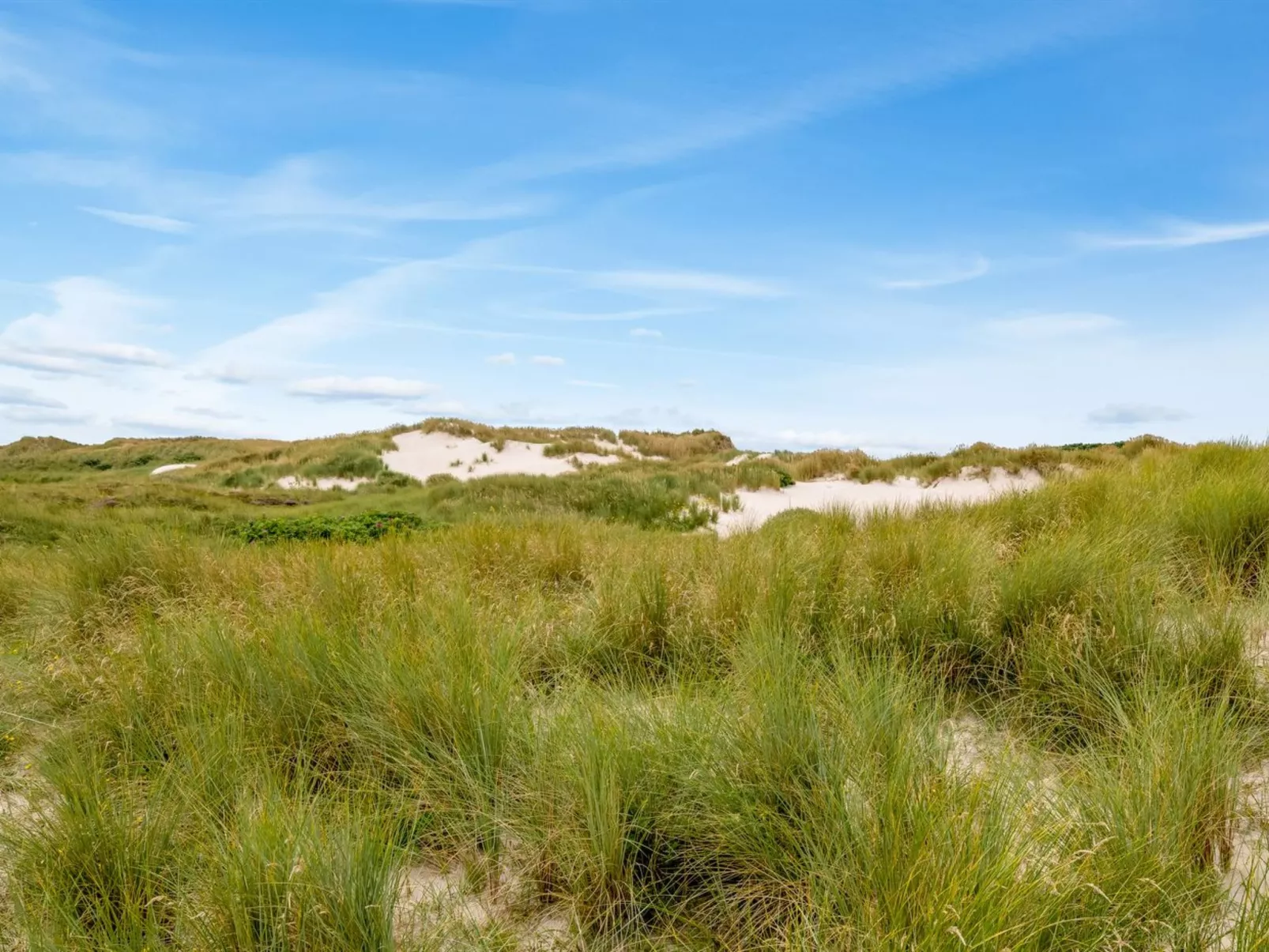 "Nicolaus" -  from the sea-Buiten