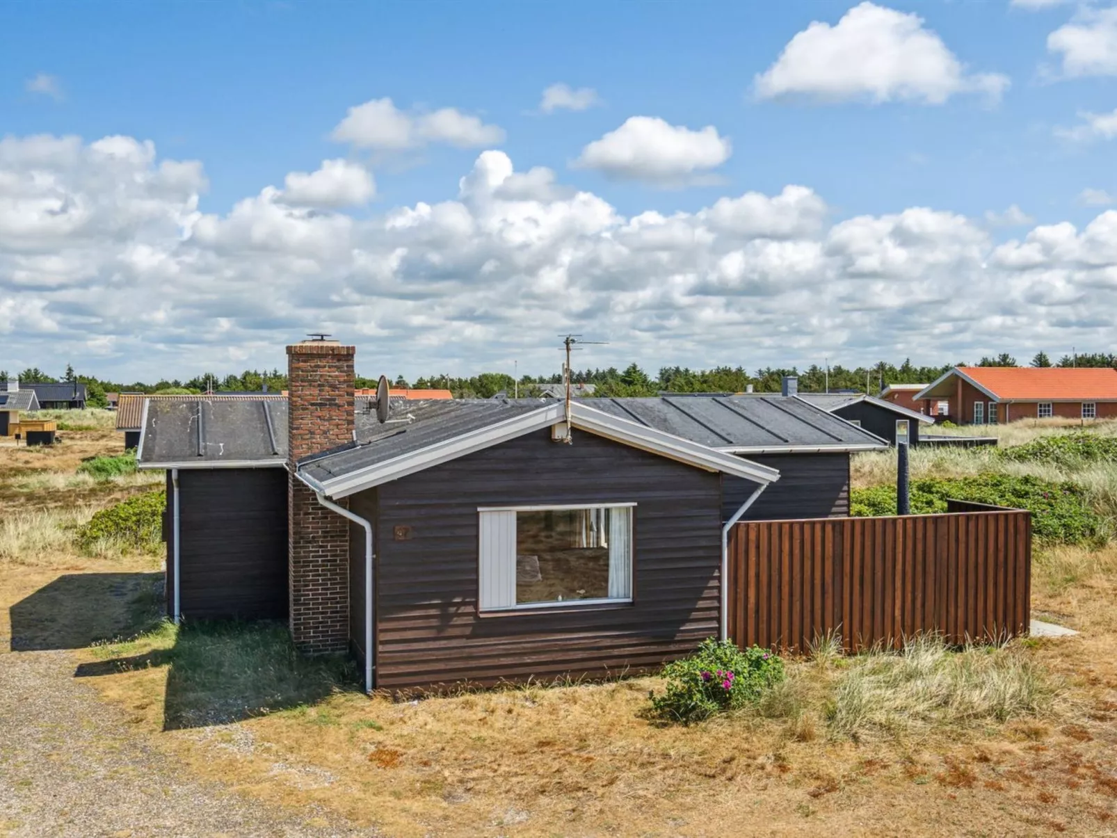 "Evelin" -  from the sea-Buiten