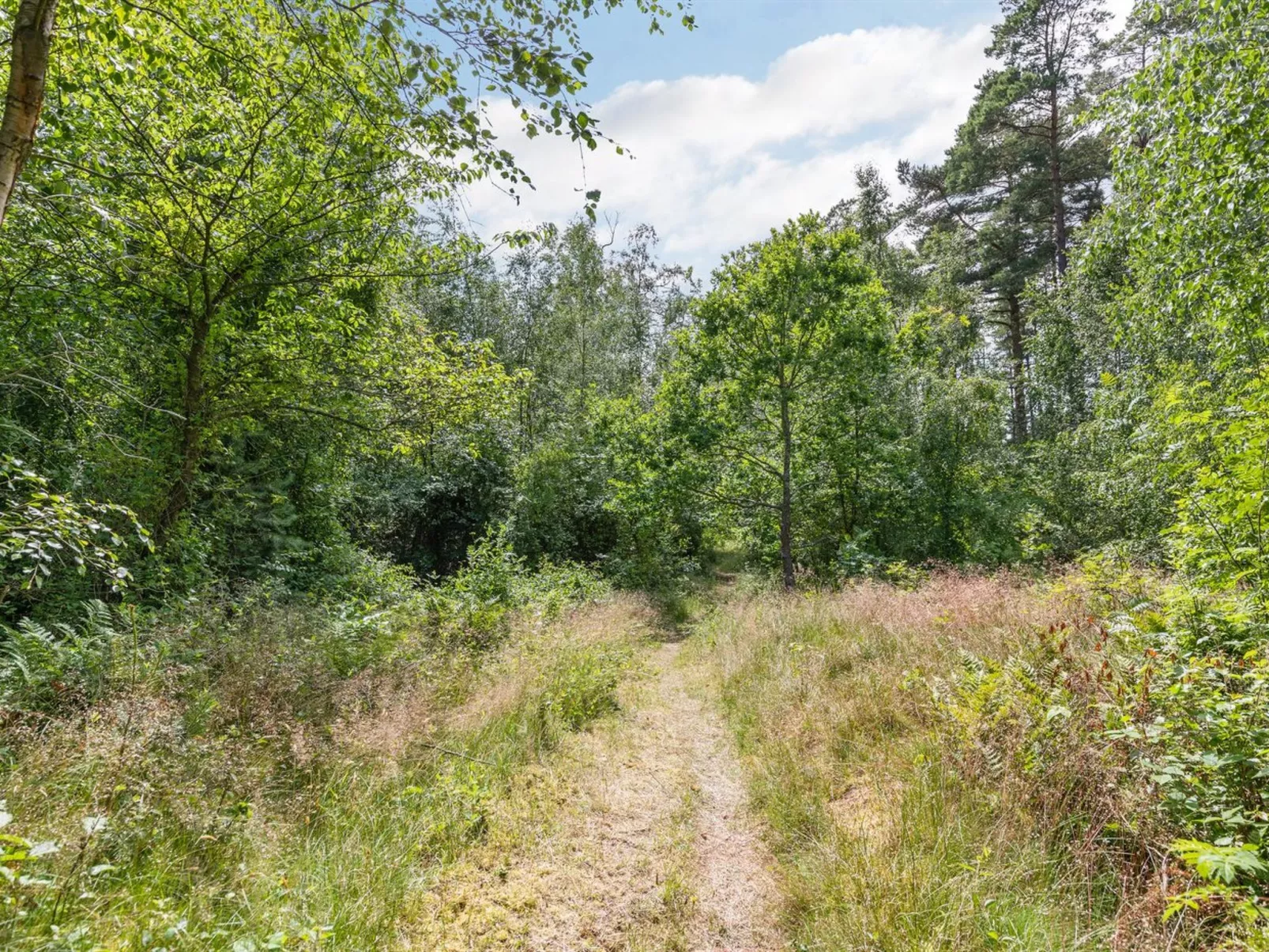 "Anarosa" - 200m from the sea-Buiten