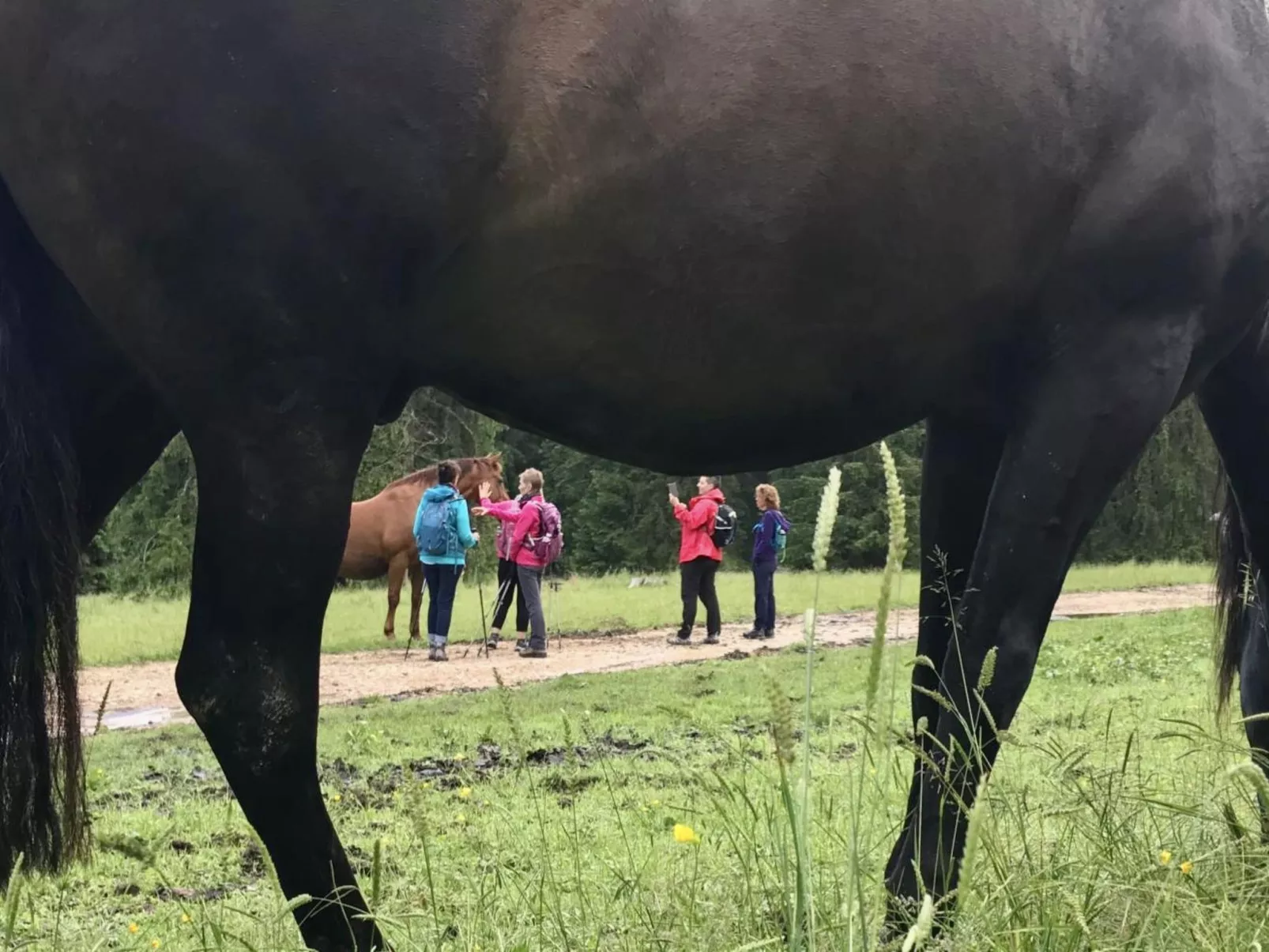 Maison de vacances - LM-Buiten