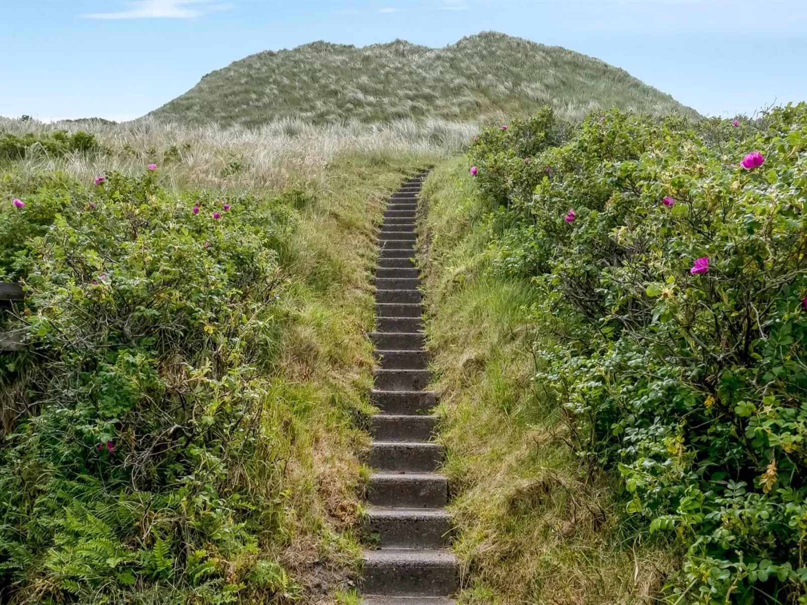 "Thorfrid" - 150m from the sea-Buiten