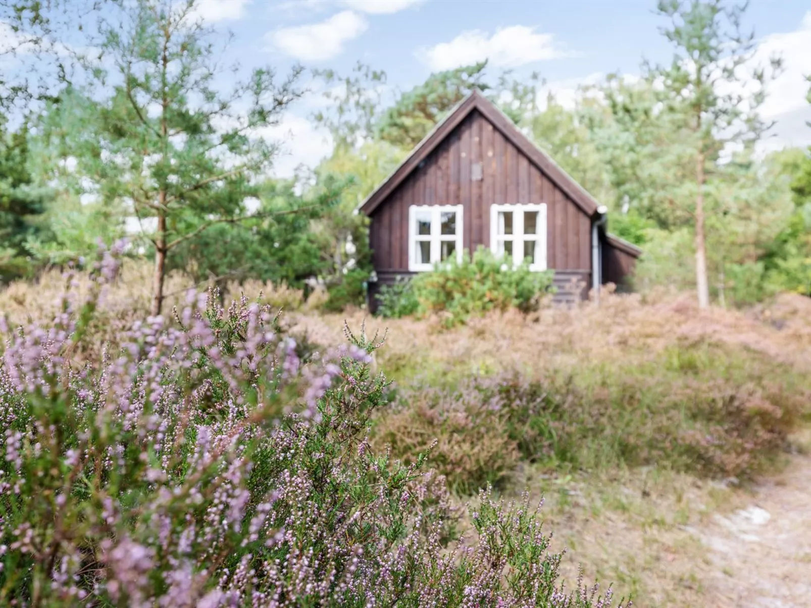 "Læff" - 50m from the sea-Buiten