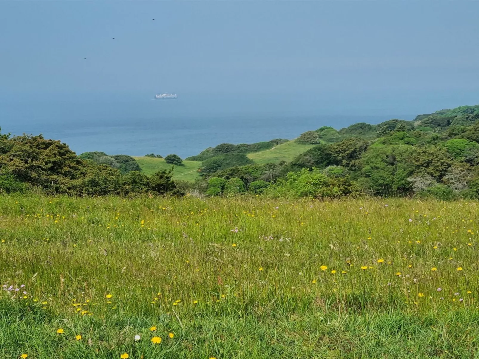 "Miona" - 725m from the sea-Buiten