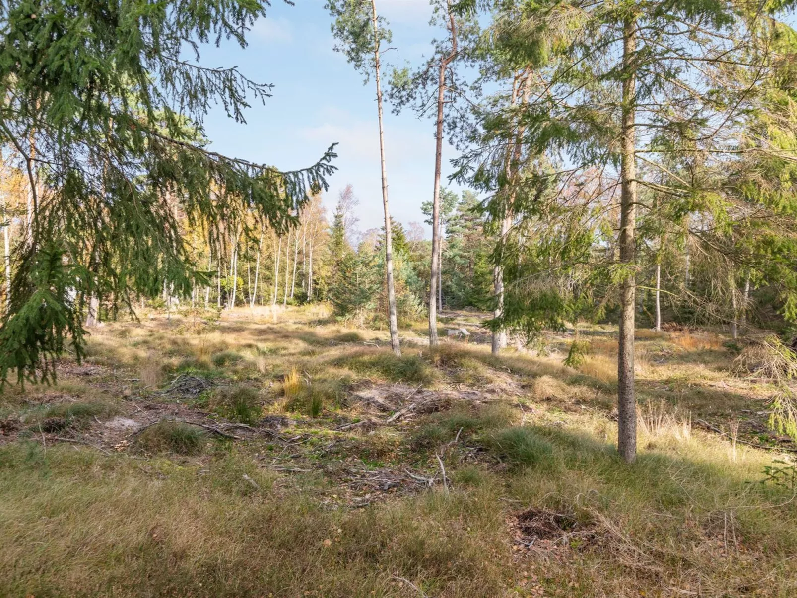 "Jaarne" - 800m from the sea-Buiten