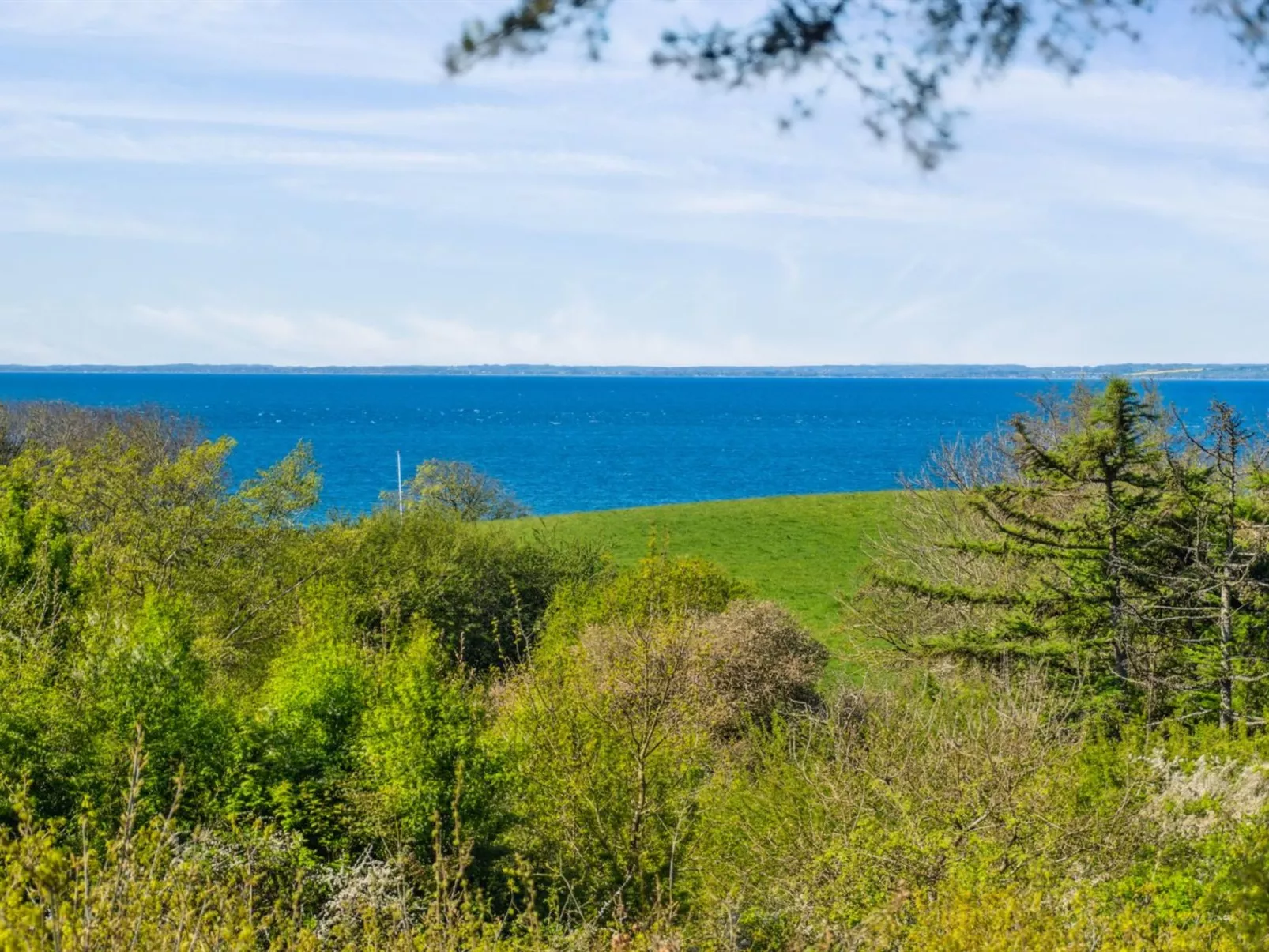 "Irek" - 500m from the sea-Buiten