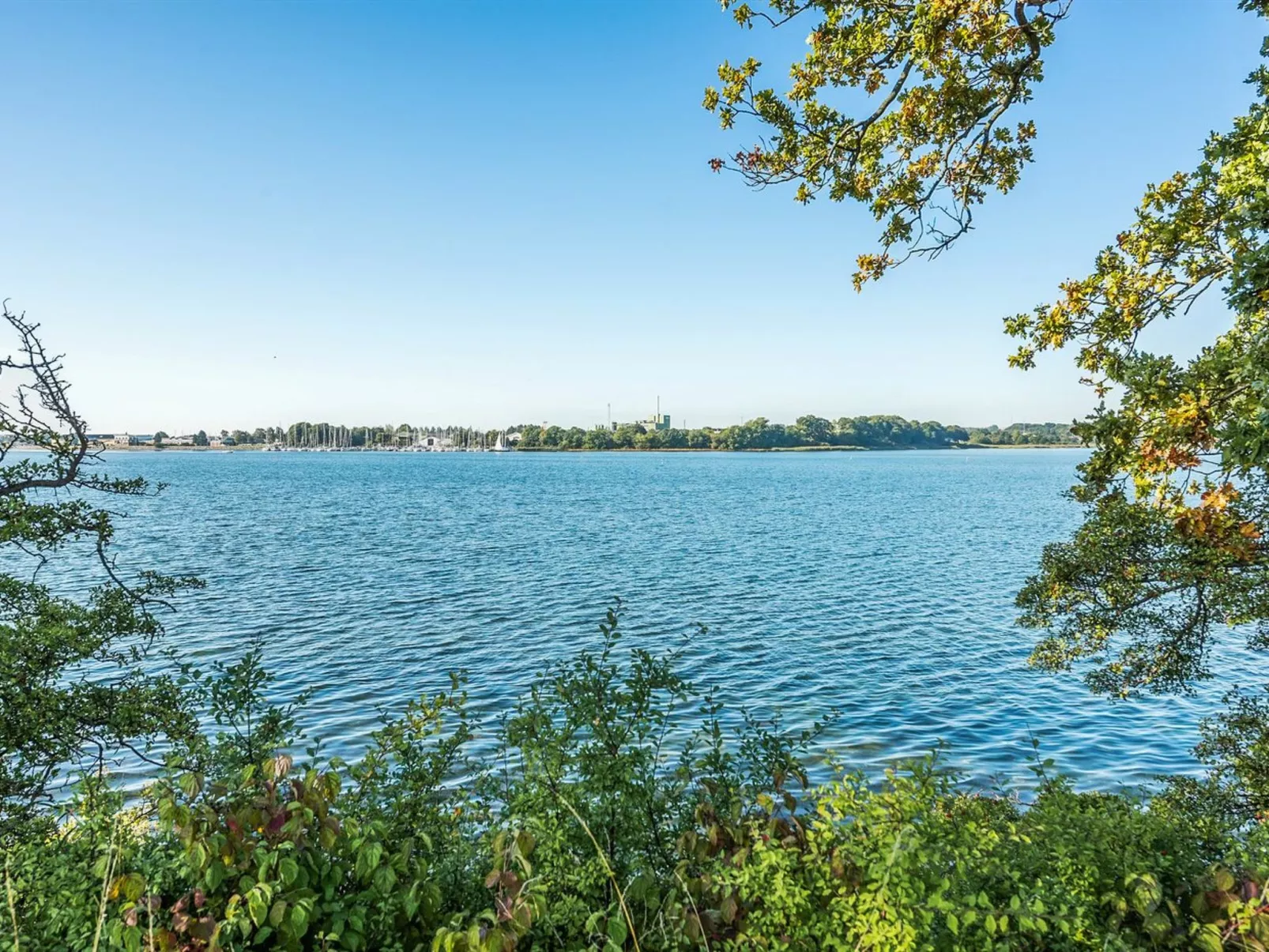 "Åse" - 100m to the fjord-Buiten