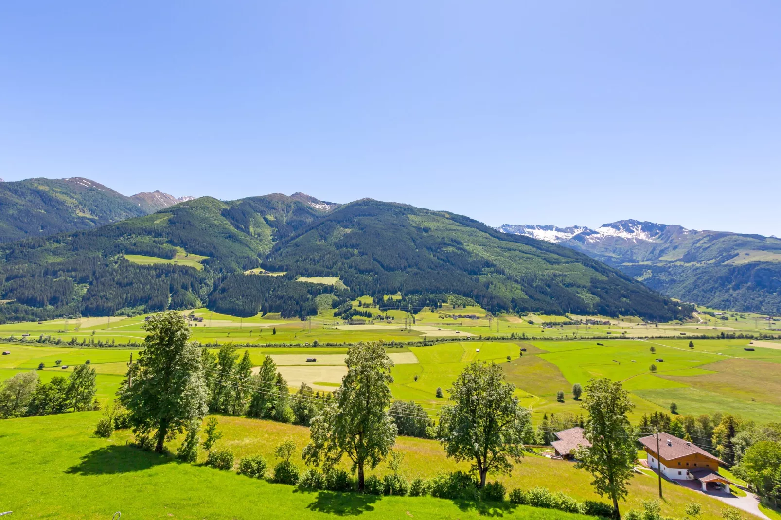 Grünlicher Hof-Gebieden zomer 5km