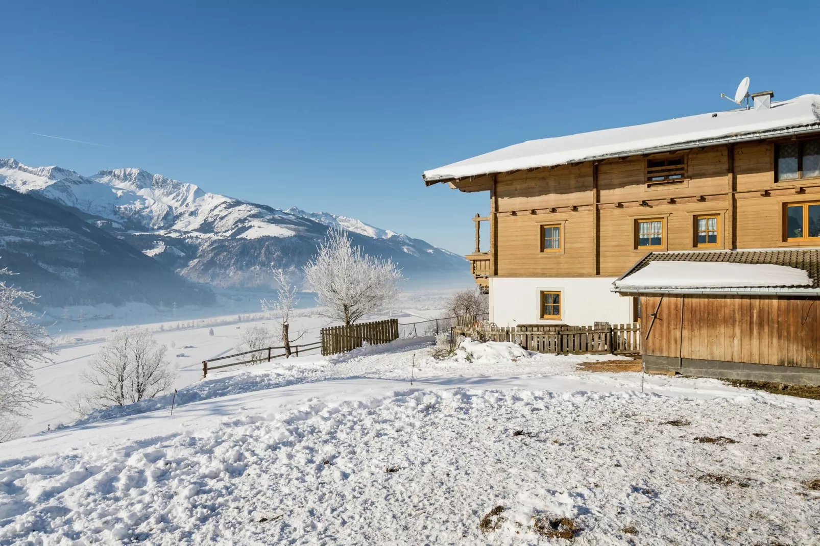 Grünlicher Hof-Exterieur winter