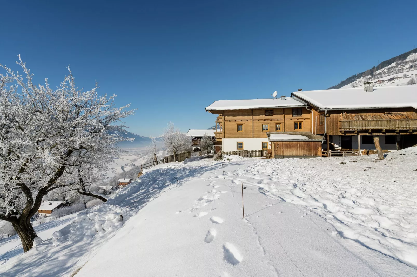 Grünlicher Hof-Exterieur winter
