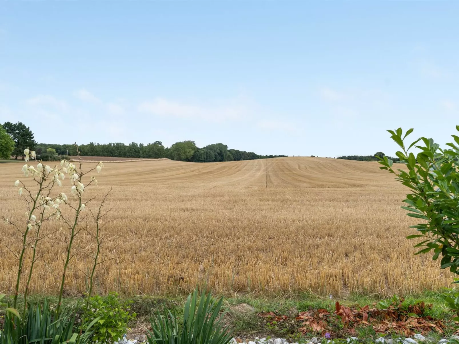 "Asya" - 600m from the sea-Buiten