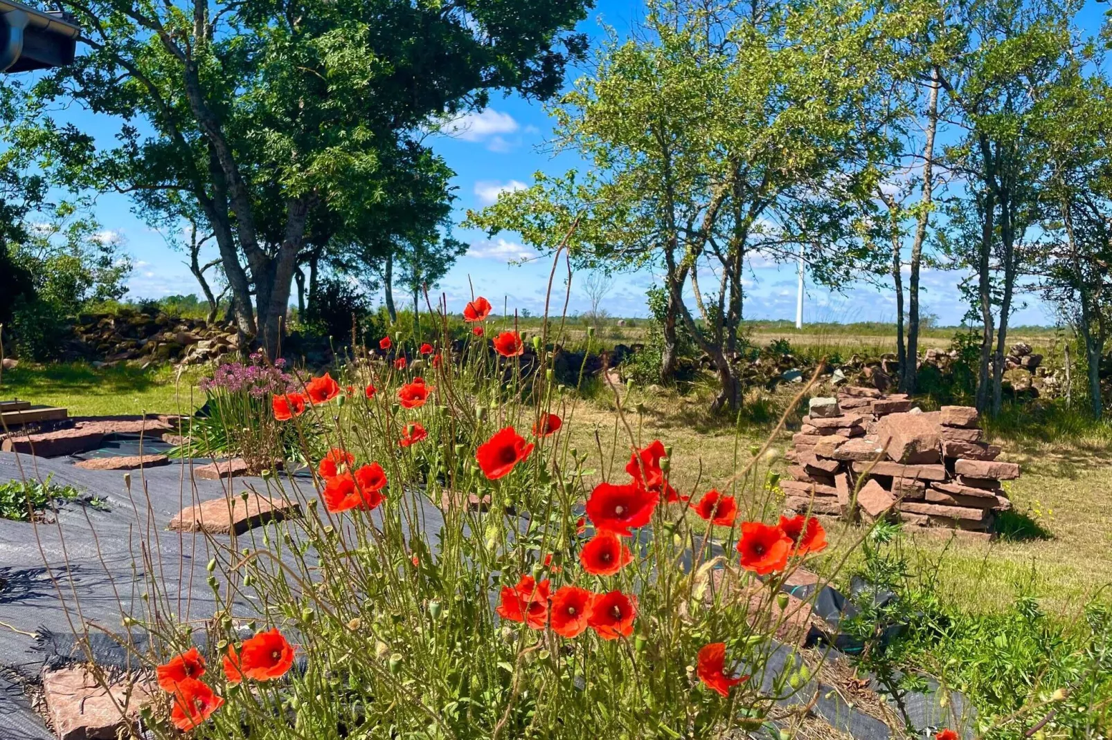 5 persoons vakantie huis in BORGHOLM-By Traum-Niet-getagd