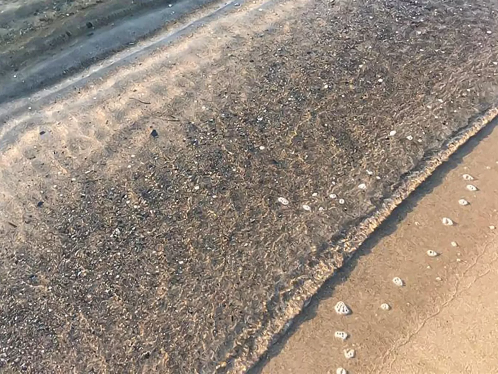 "Stacie" - 10m from the sea-Buiten