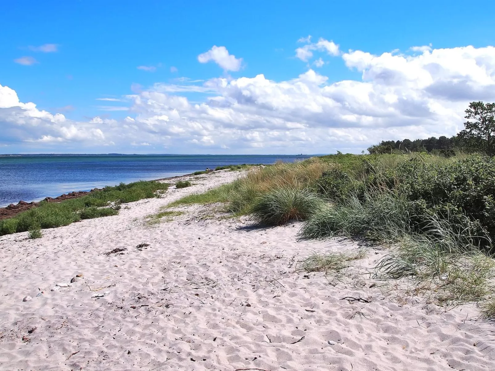 "Liselotte" - 275m from the sea-Buiten