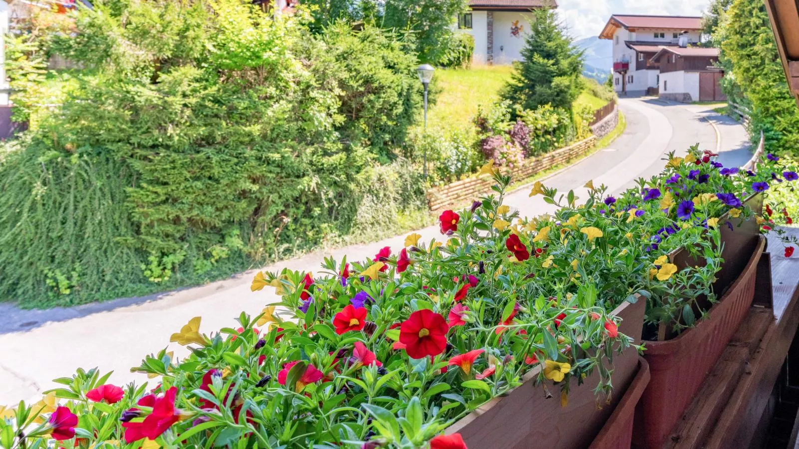 Rettenstein und Gaisbergblick-Uitzicht zomer