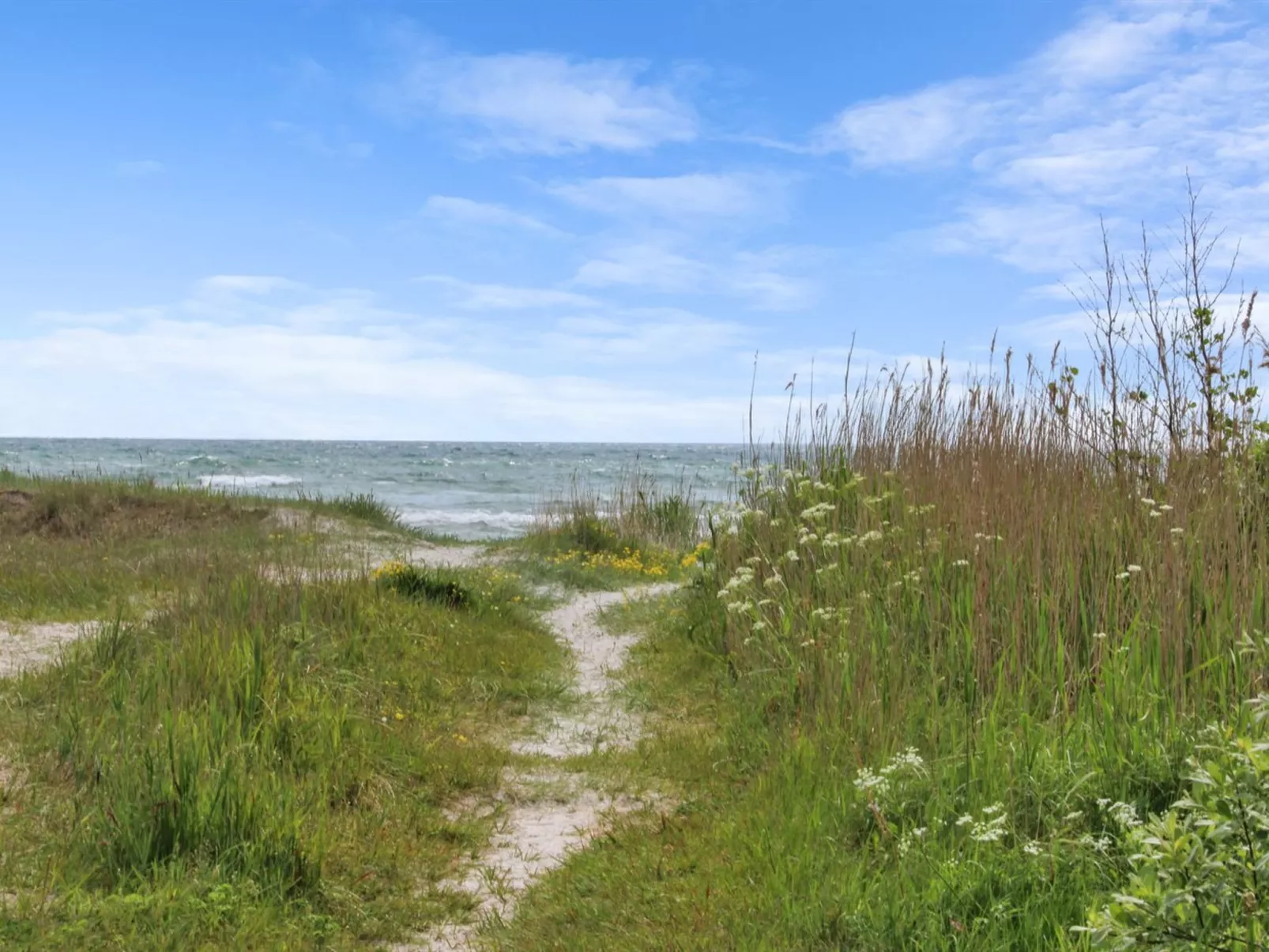 "Andria" - 300m from the sea-Buiten