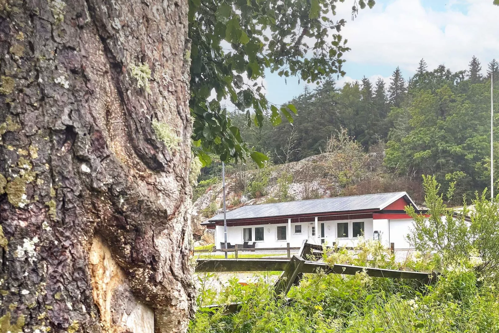 4 persoons vakantie huis in DINGLE-Buitenlucht