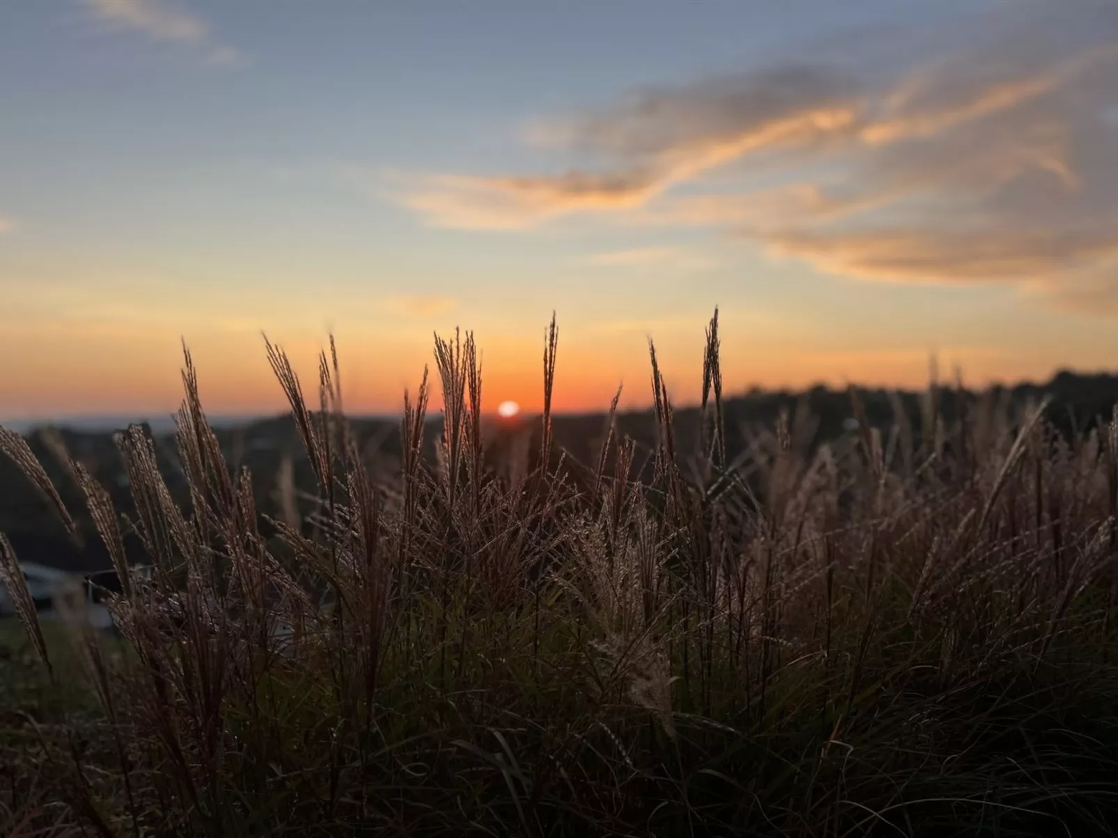 "Harda" - 800m from the sea-Buiten