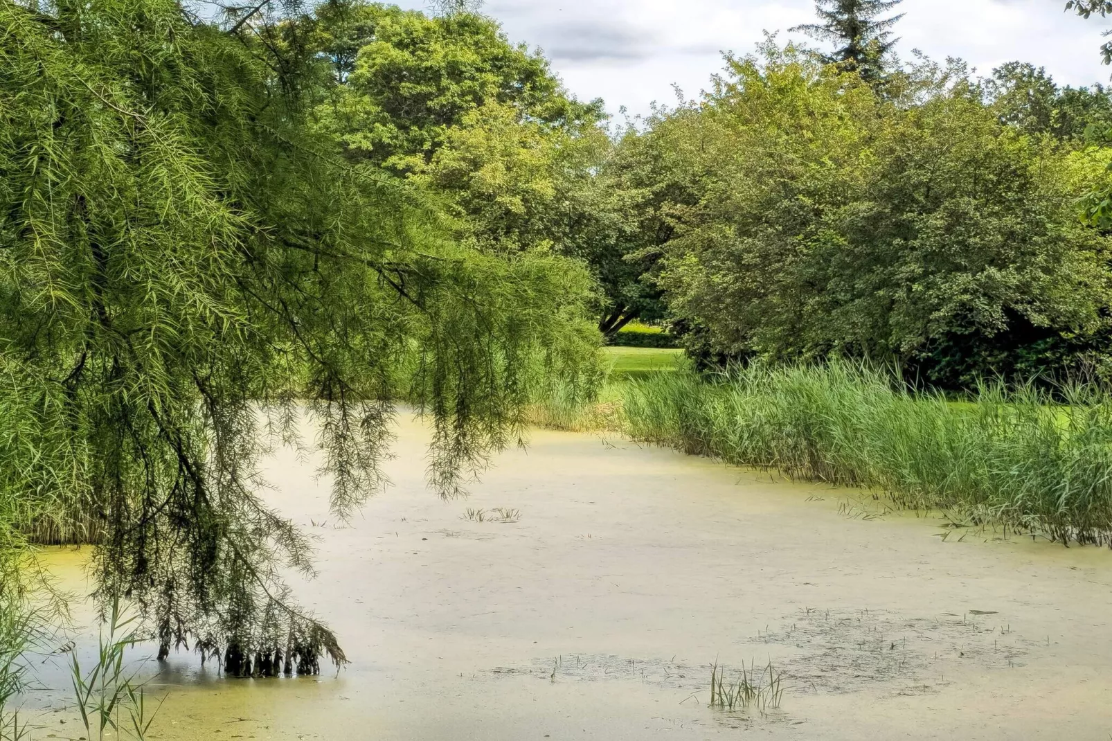 4 persoons vakantie huis in Tønder-By Traum-Buitenlucht