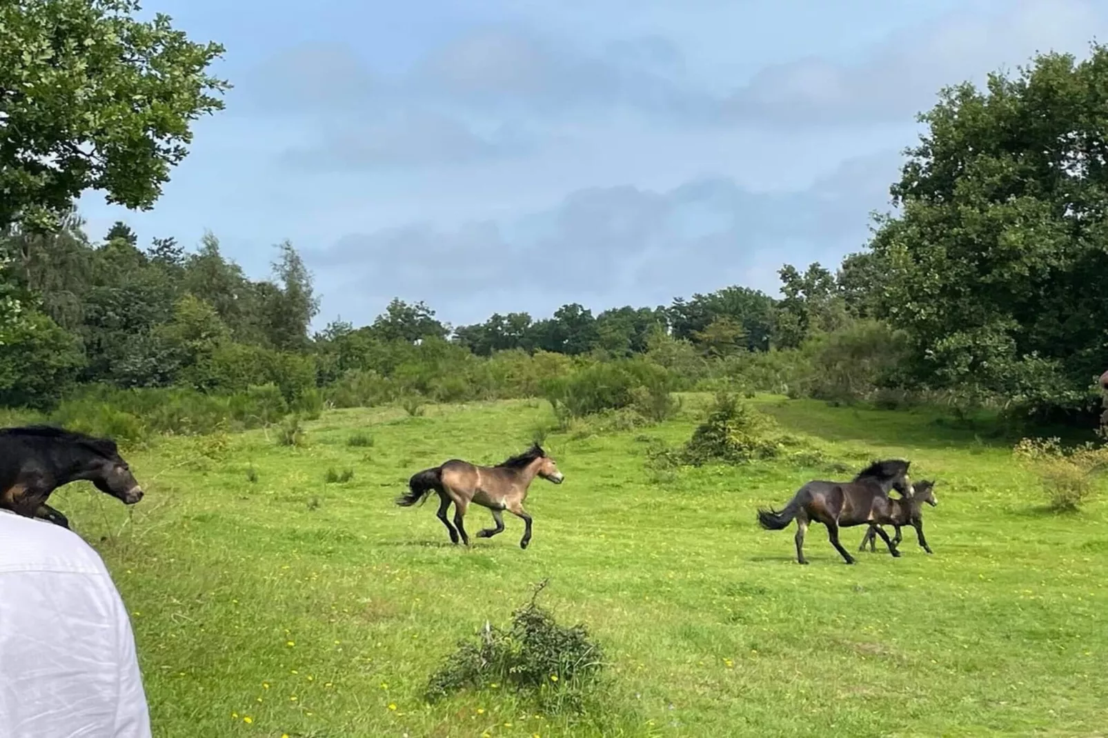 6 persoons vakantie huis in Knebel-By Traum-Niet-getagd