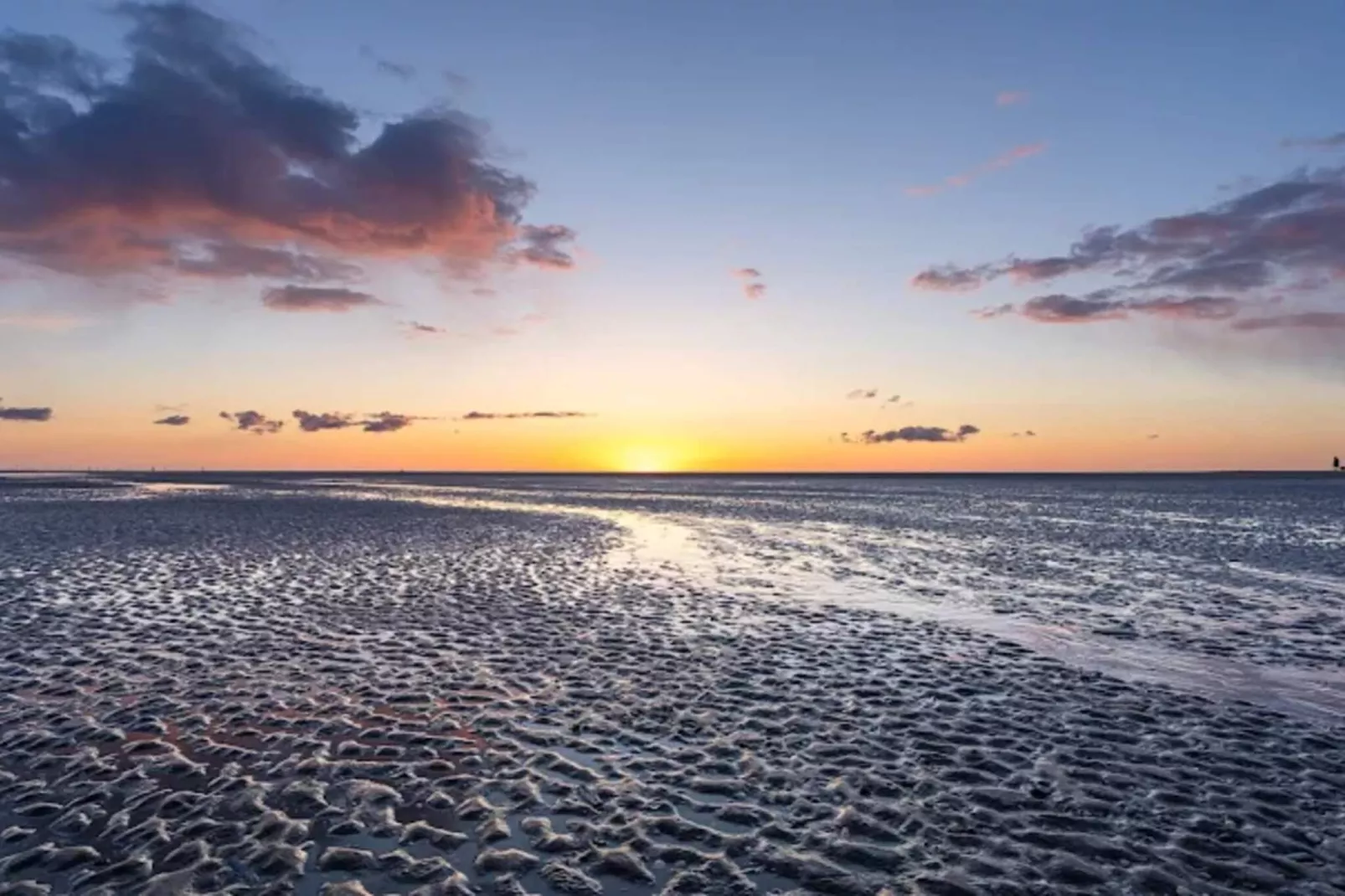 10 persoons vakantie huis in Blåvand