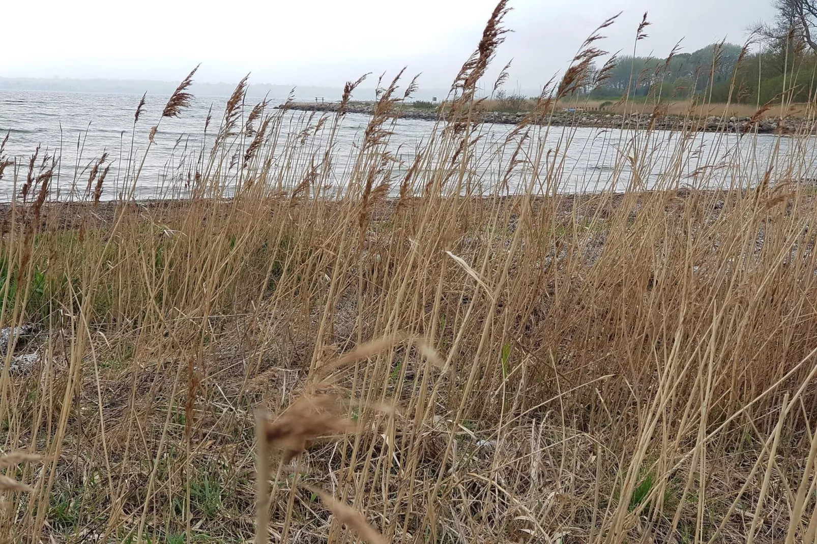 4 persoons vakantie huis in Egernsund-By Traum-Waterzicht