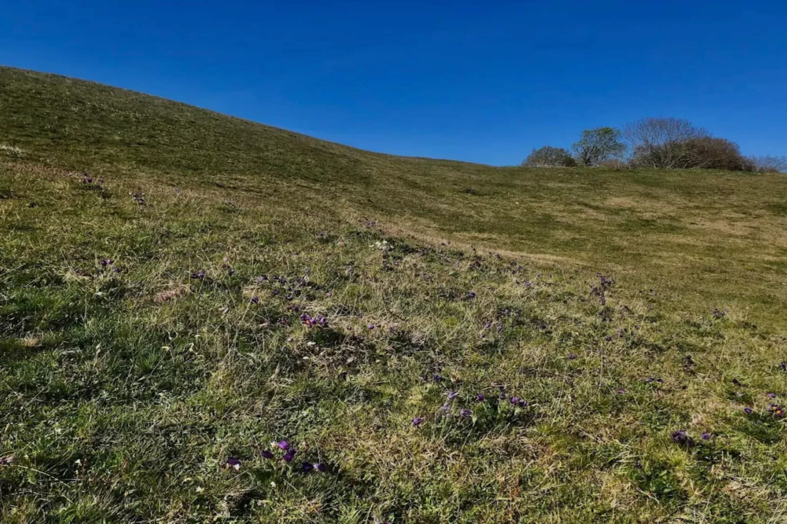 6 persoons vakantie huis in BÅSTAD-By Traum-Niet-getagd