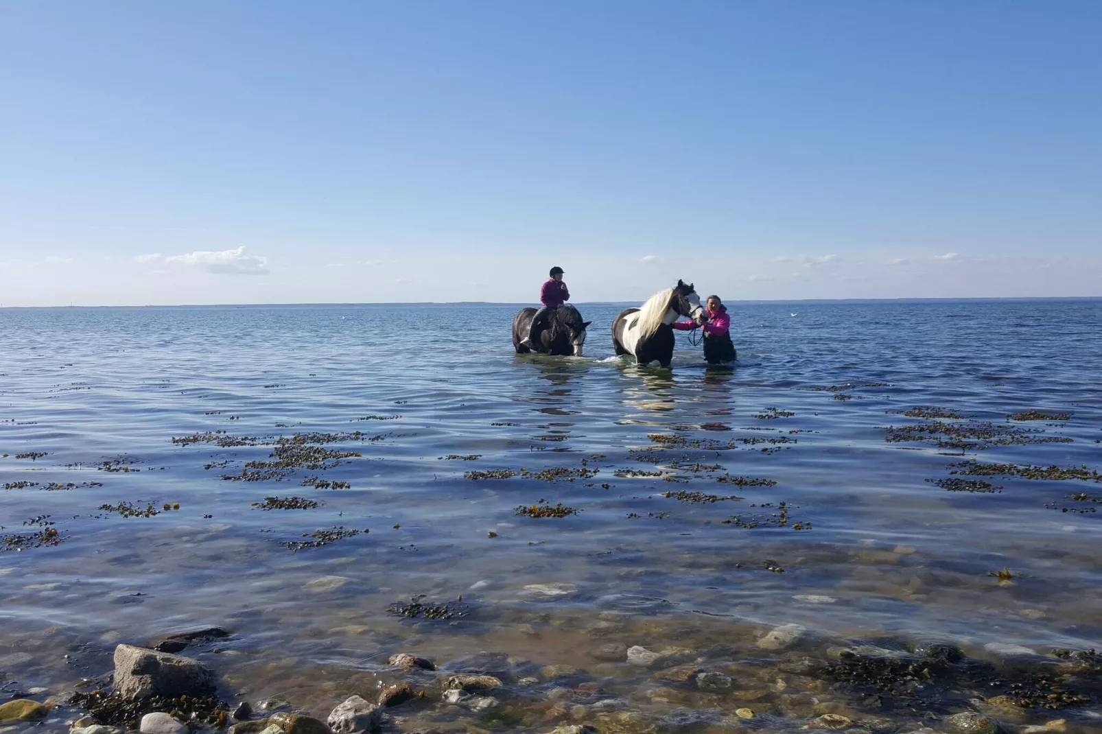 18 persoons vakantie huis in Bogense-Waterzicht