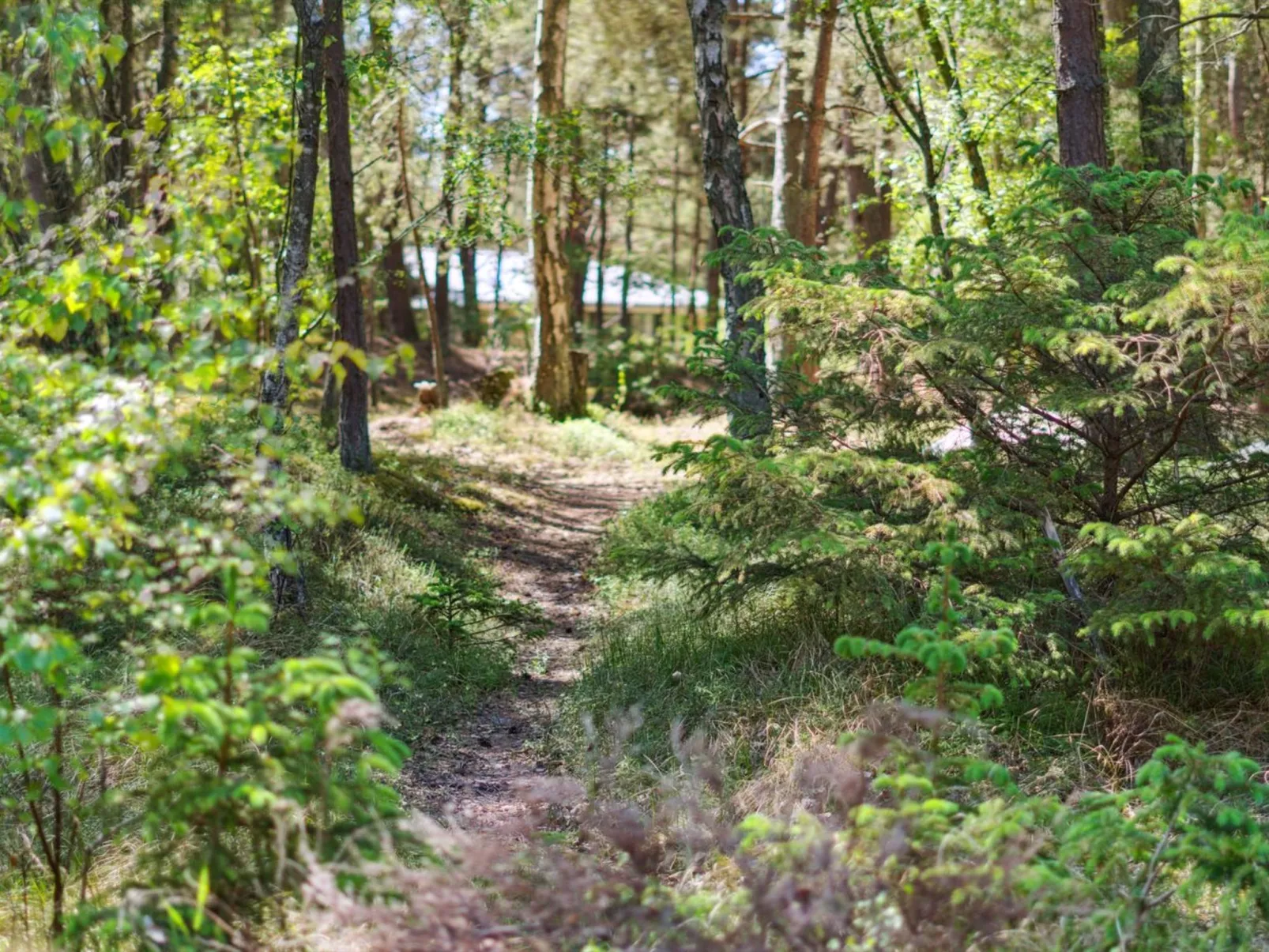 "Olla" - 400m from the sea-Buiten