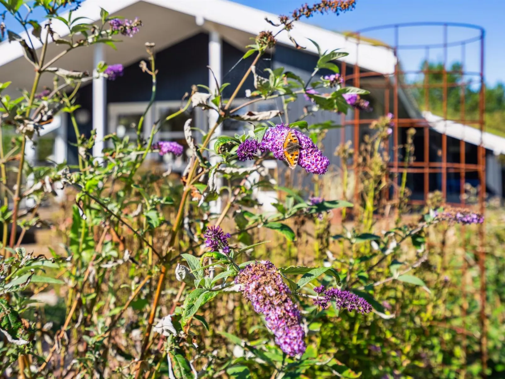 "Ofelia" - 2.5km from the sea-Buiten