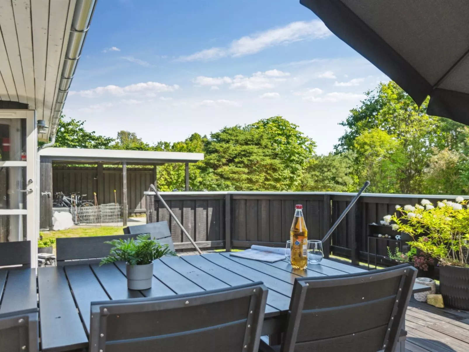 "Felippa" -  from the sea-Buiten