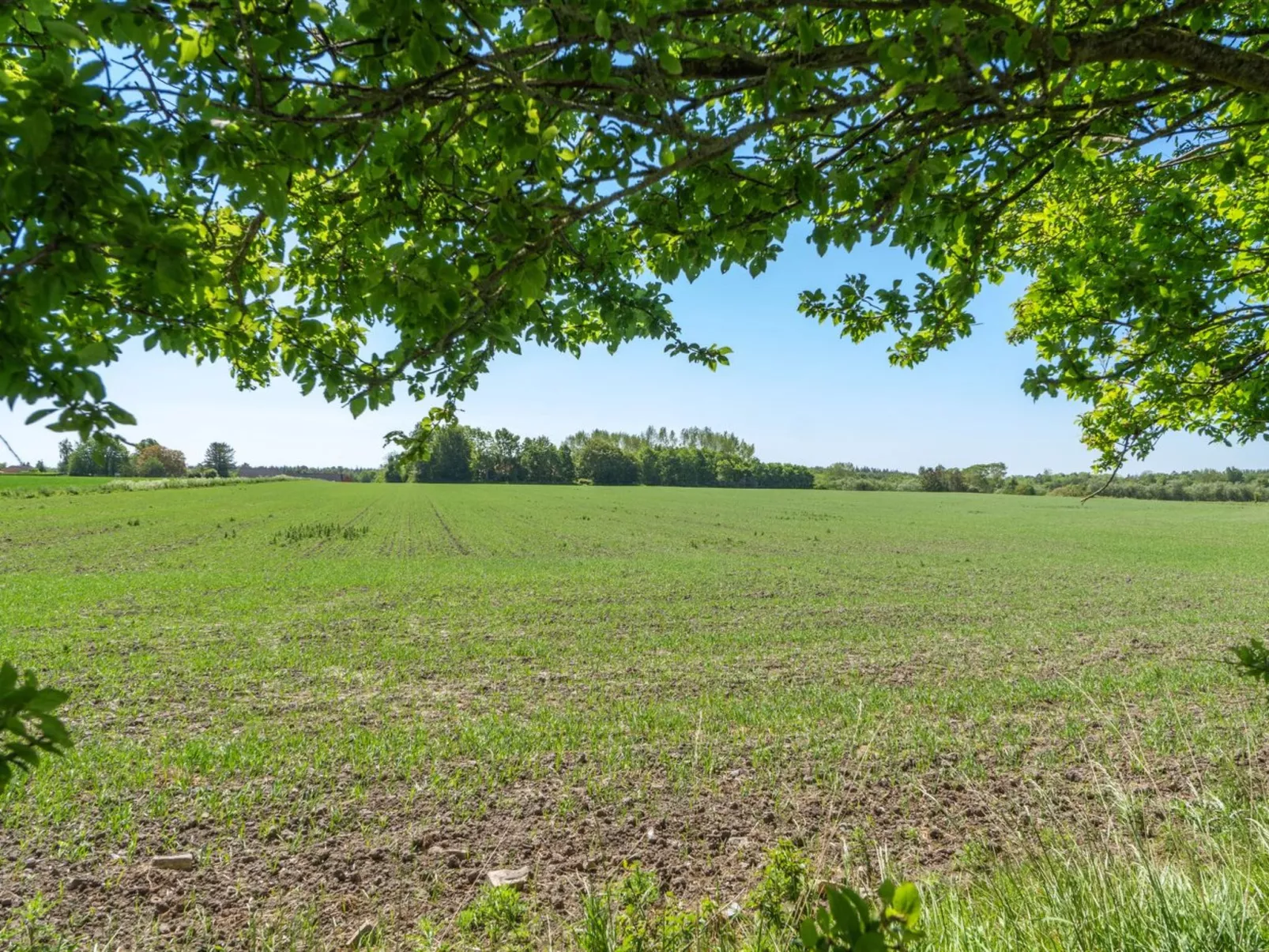 "Eliane" - 1.8km from the sea-Buiten