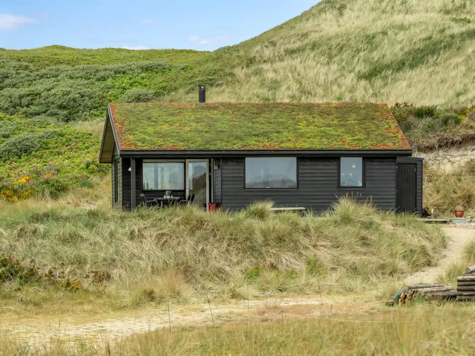 "Apolina" -  from the sea-Buiten